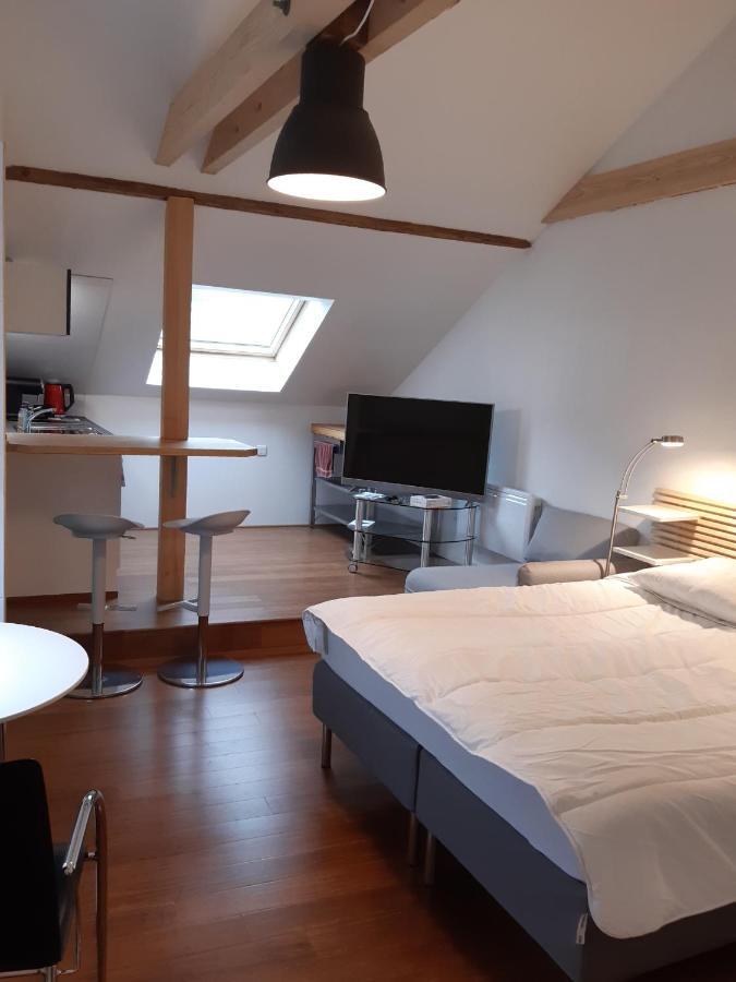 Loft Studio Avec Charme Et Authenticite Altkirch Buitenkant foto