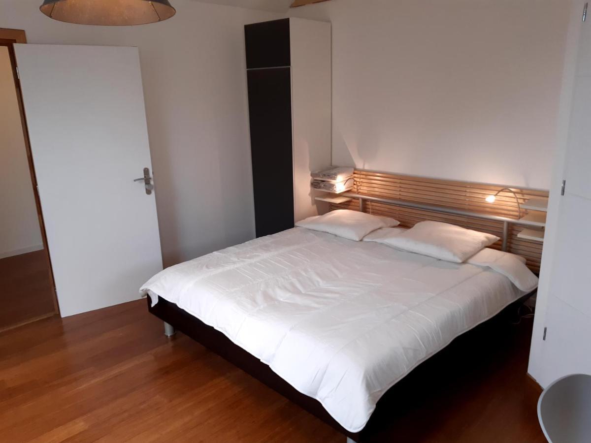 Loft Studio Avec Charme Et Authenticite Altkirch Buitenkant foto